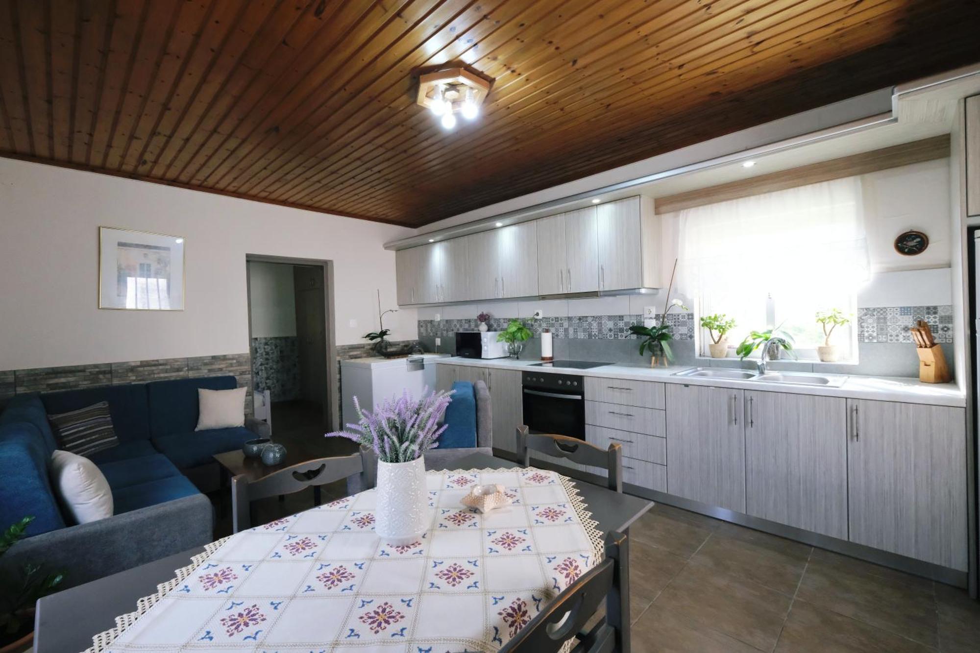 Repanidi Apartment D / Ρεπανίδι Διαμέρισμα Δ Repanidhion Luaran gambar