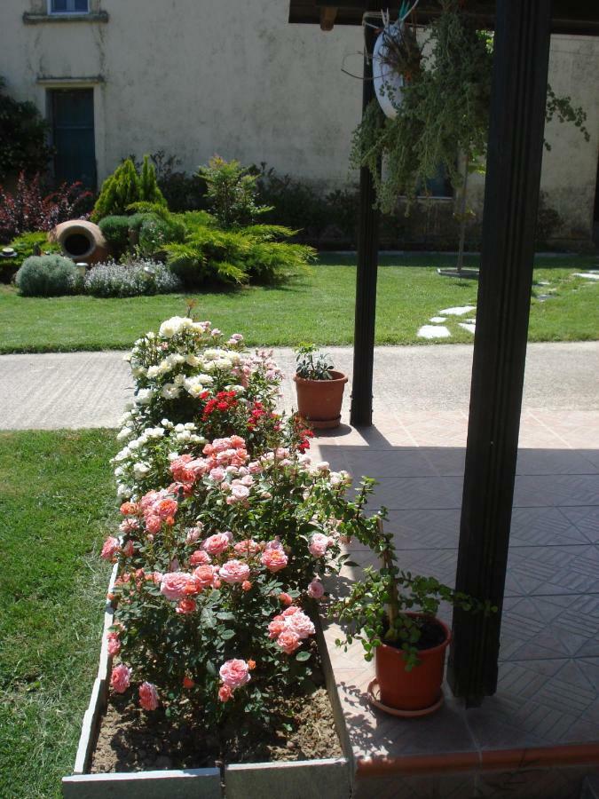 Repanidi Apartment D / Ρεπανίδι Διαμέρισμα Δ Repanidhion Luaran gambar