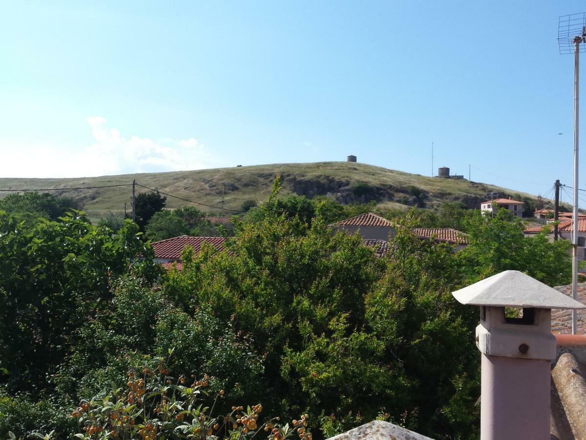 Repanidi Apartment D / Ρεπανίδι Διαμέρισμα Δ Repanidhion Luaran gambar
