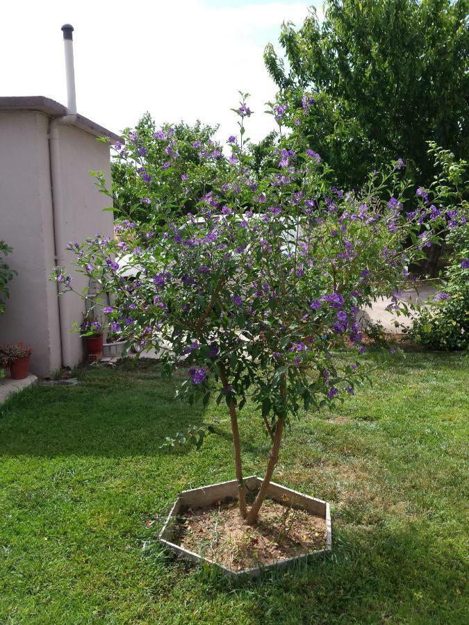 Repanidi Apartment D / Ρεπανίδι Διαμέρισμα Δ Repanidhion Luaran gambar