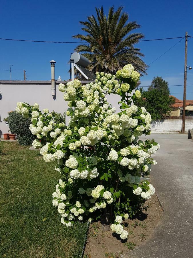 Repanidi Apartment D / Ρεπανίδι Διαμέρισμα Δ Repanidhion Luaran gambar